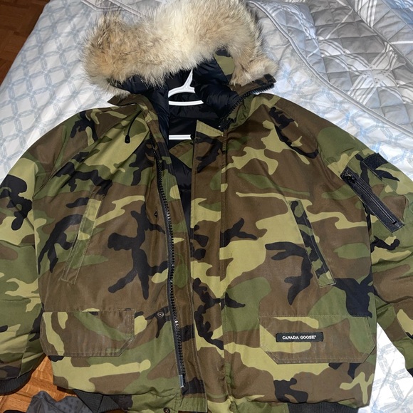 Canada goose - Picture 2 of 7